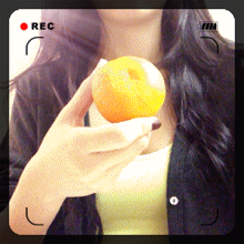 gif790x600.gif