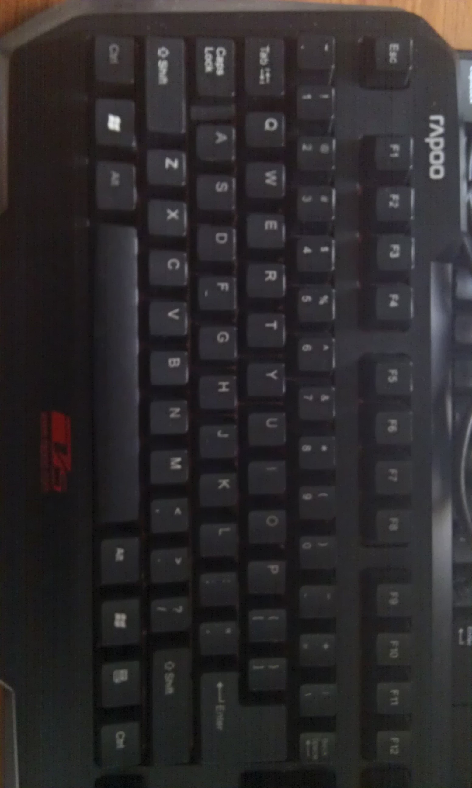IMAG0037.jpg