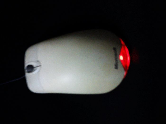 T1ZYB9Xo8qXXXvkLQZ_032304.jpg