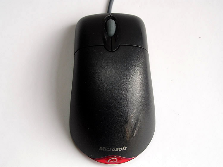 P1010300.jpg