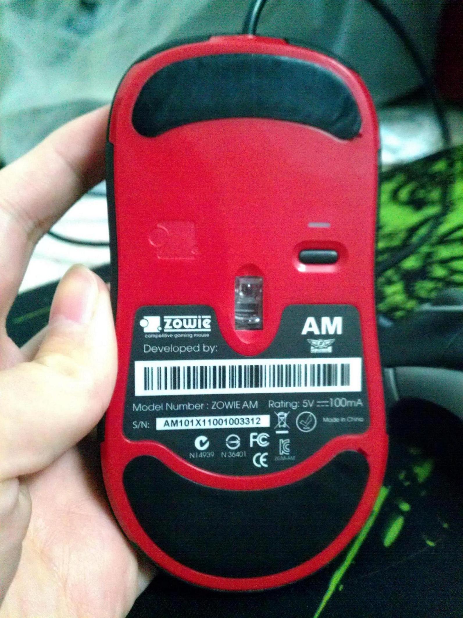IMAG0478.jpg