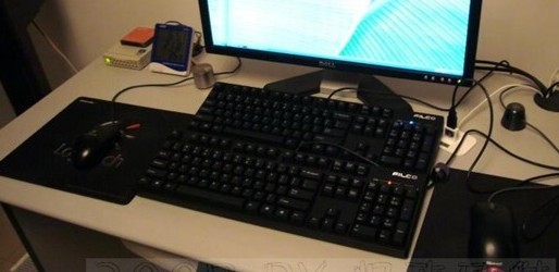 sa.jpg