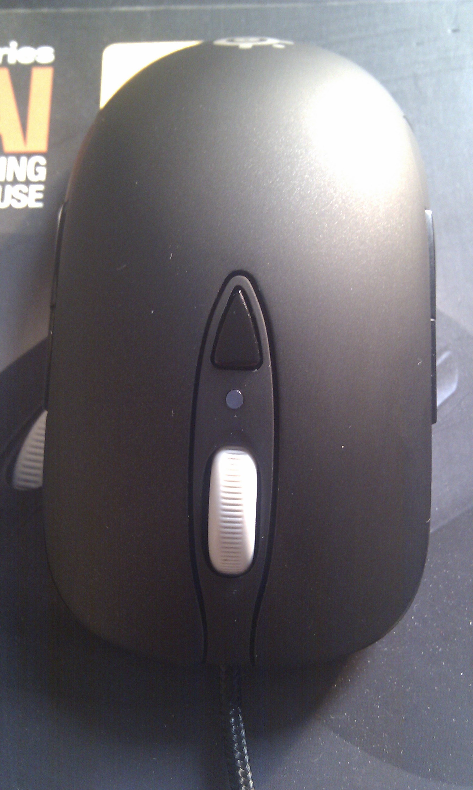 IMAG0025.jpg