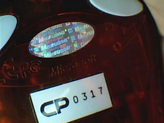 ͼƬ 006.jpg