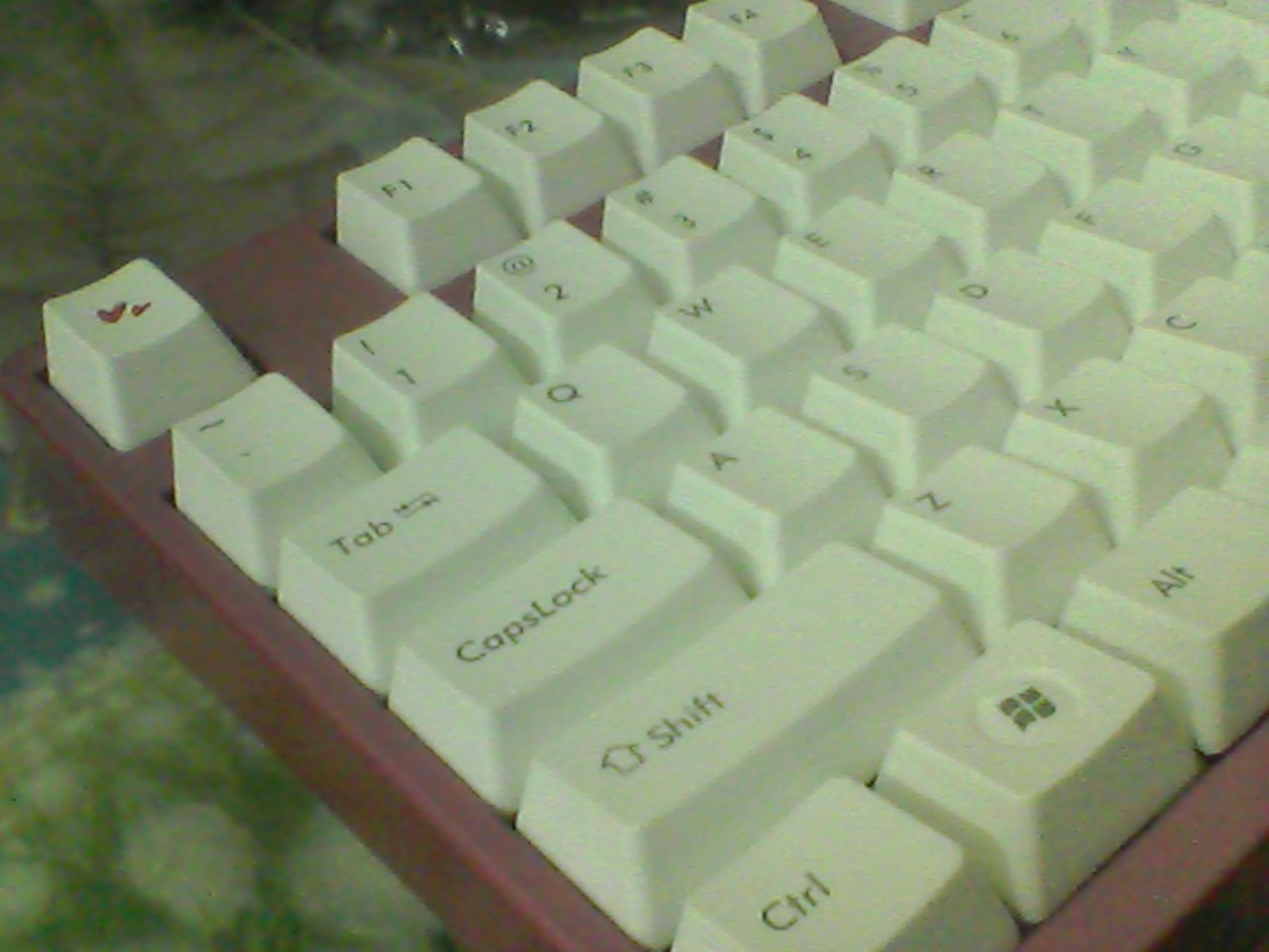 йɫ~Filco֣Ҳף