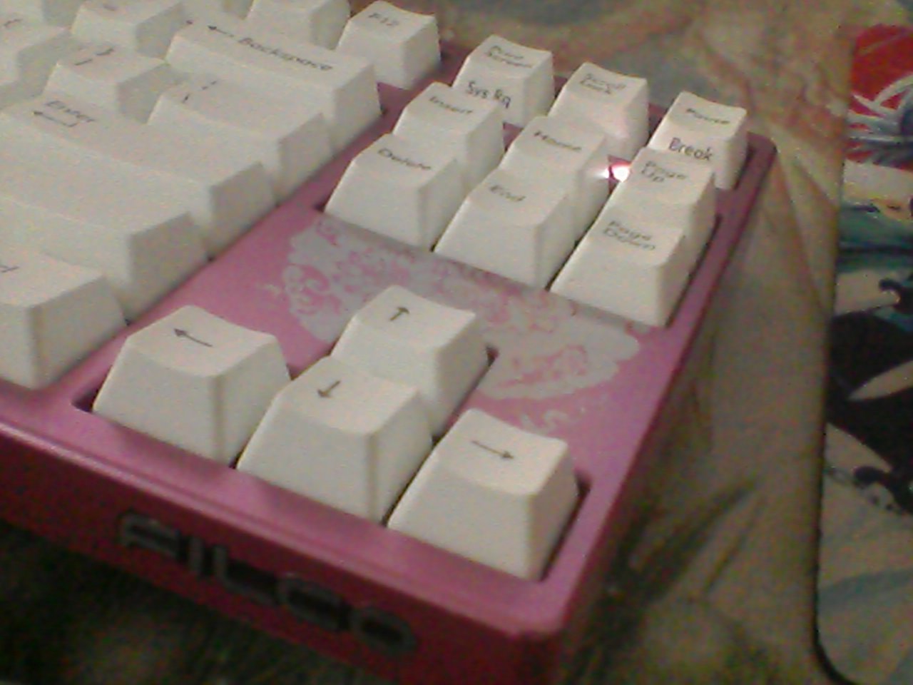 йɫ~Filco֣Ҳף