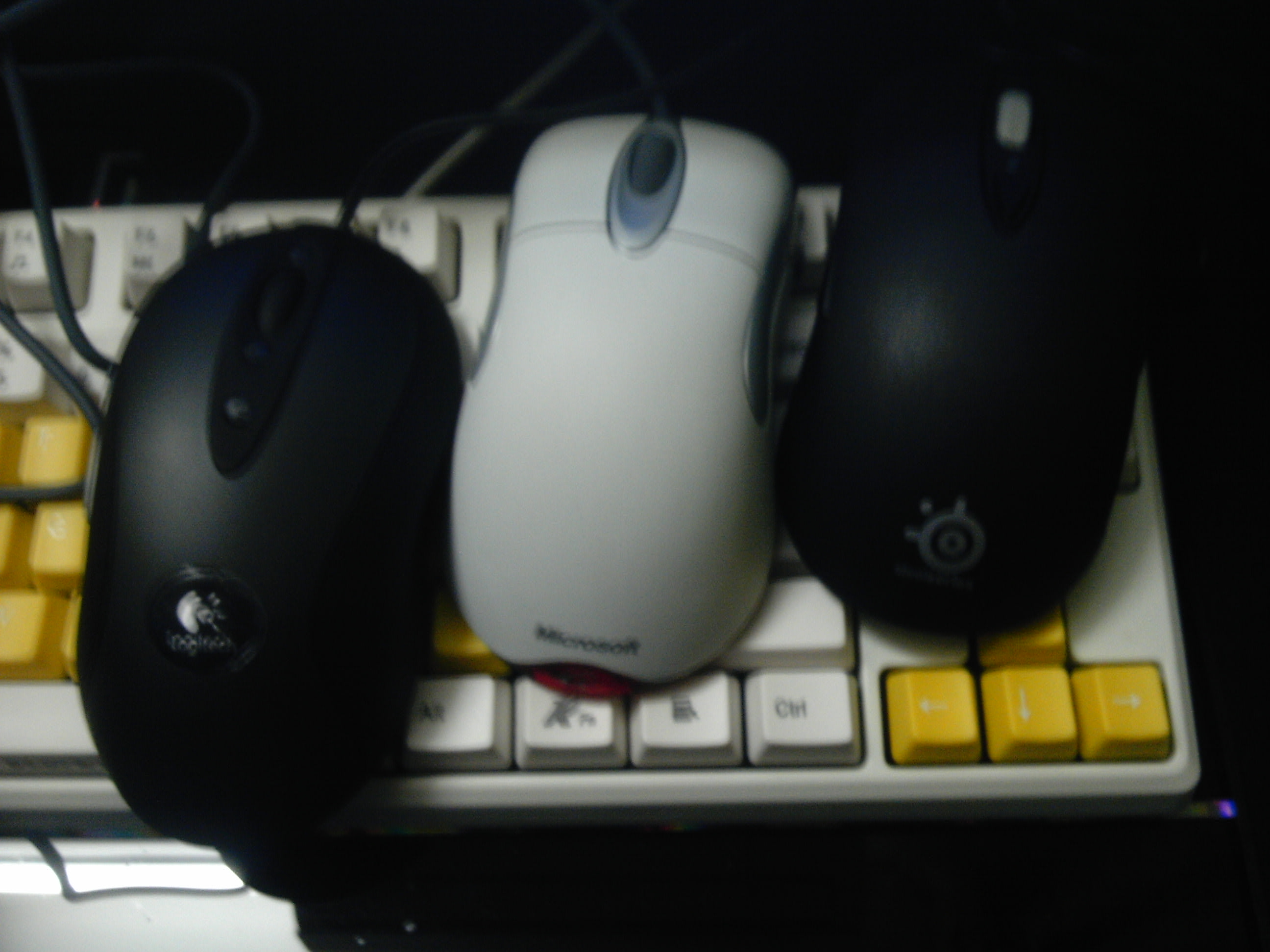 IMG_20120108_203054.jpg