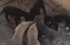 20121209301972120.gif