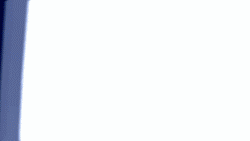 1.gif