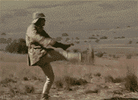 5.gif
