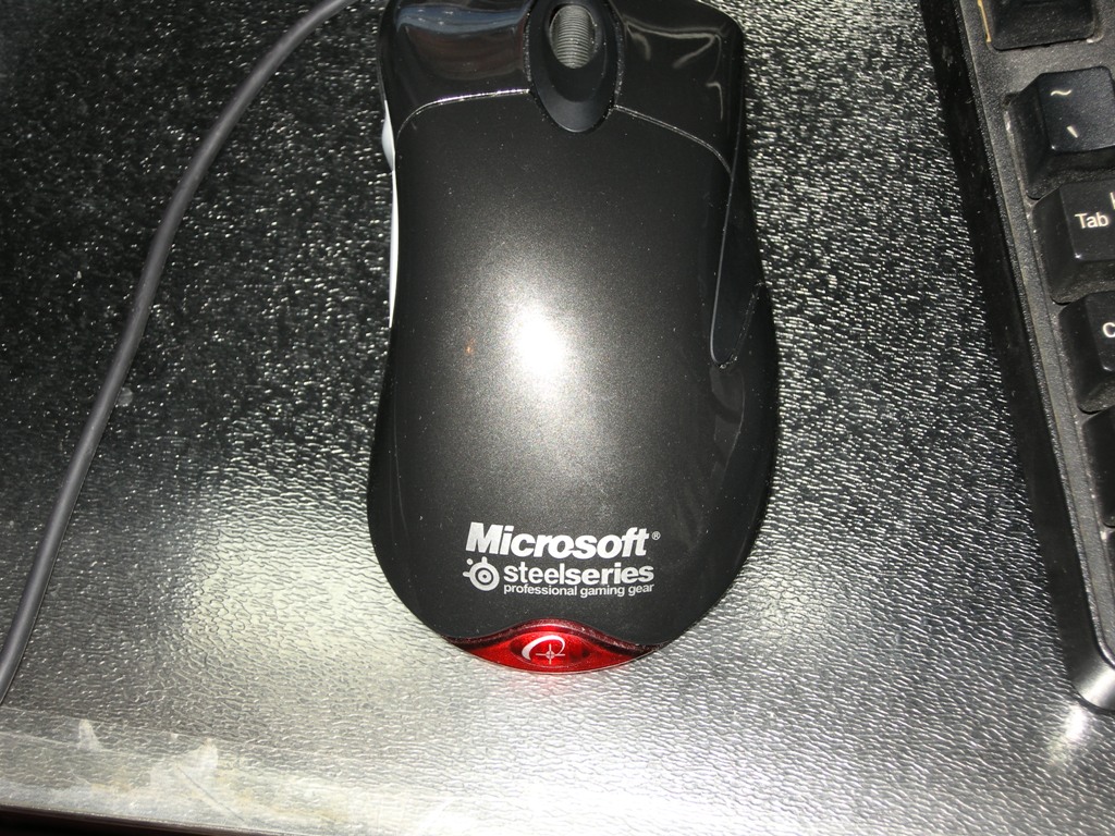 DSCN5533.JPG