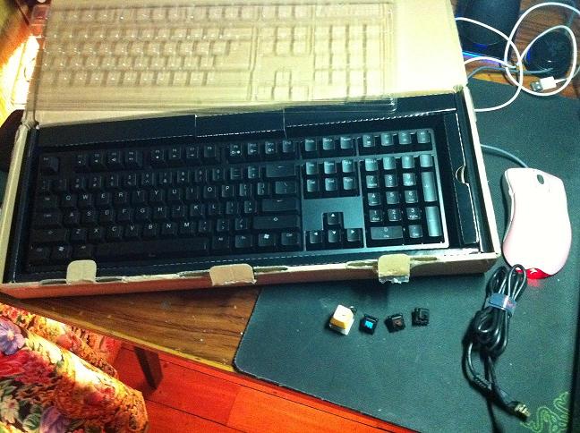 ����ɳ������ducky shining ��˳�� �ѳ� yeyecool123������