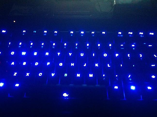����ɳ������ducky shining ��˳�� �ѳ� yeyecool123������