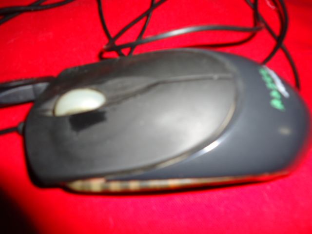 DSC08415.JPG