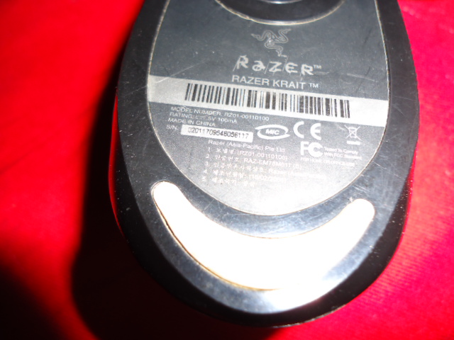 DSC08418.JPG