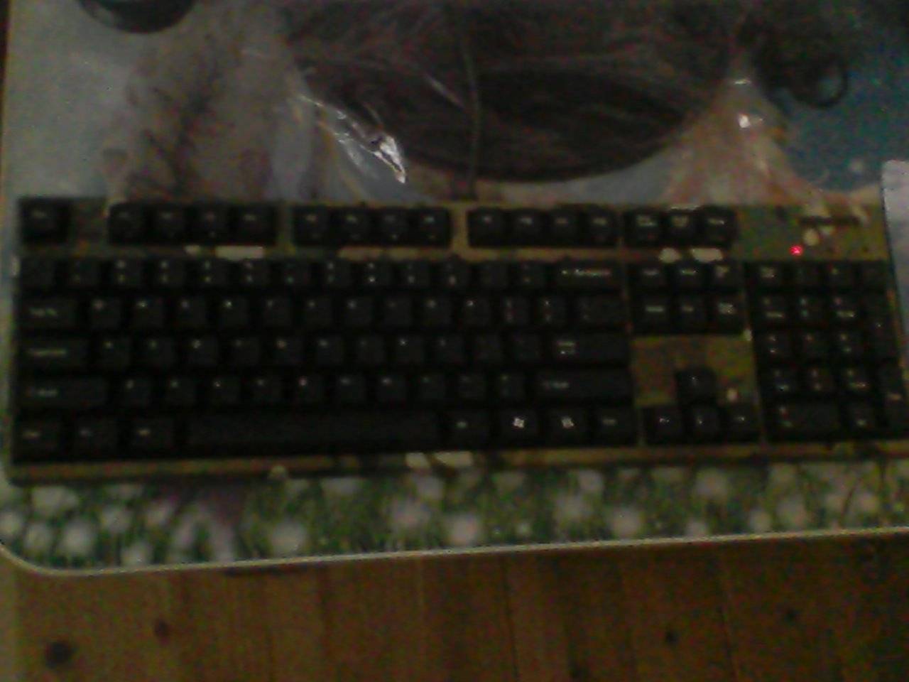 ɹɹ�¼��� ������ �Բ�Filco ����