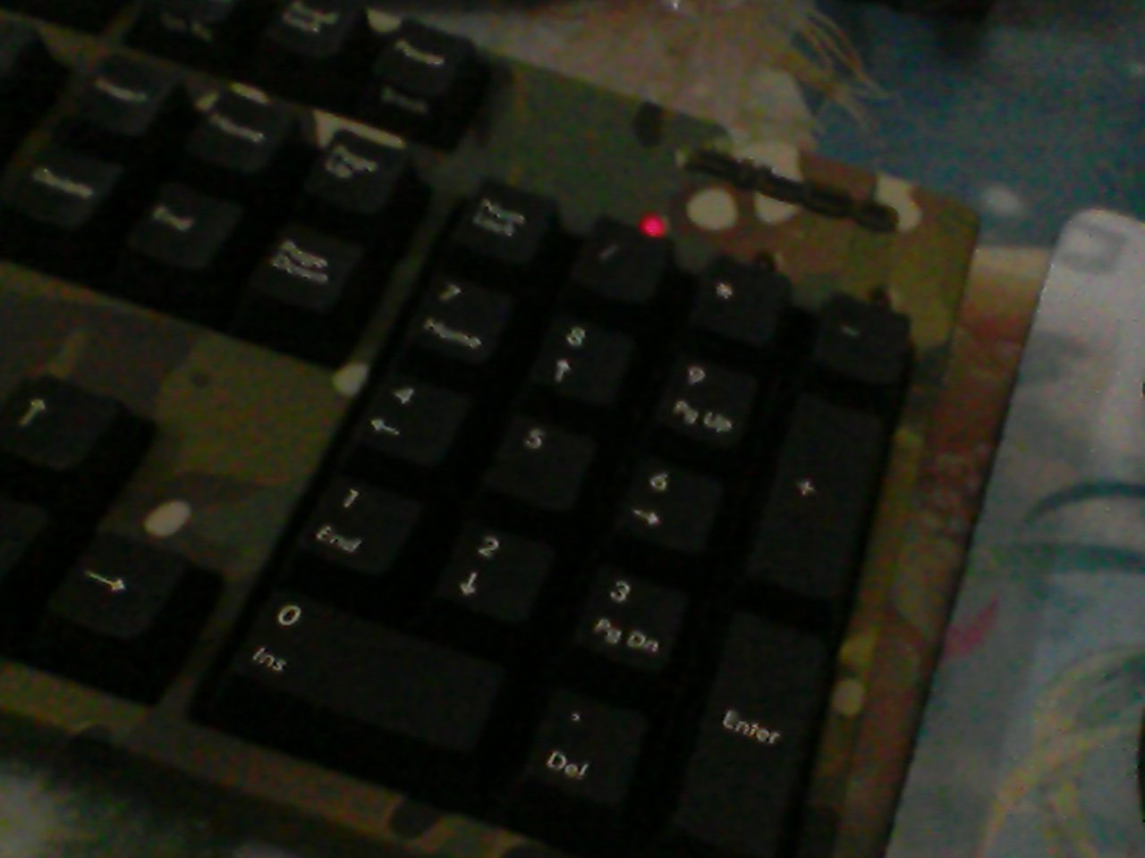 ɹɹ�¼��� ������ �Բ�Filco ����