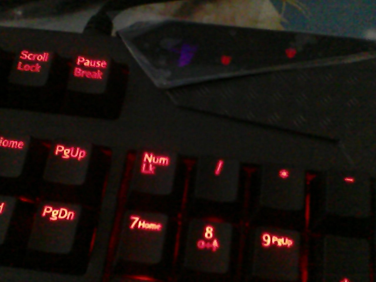 ɹɹ�¼��� ������ �Բ�Filco ����