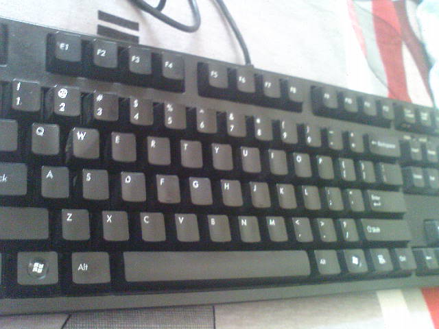 dsc00190.jpg