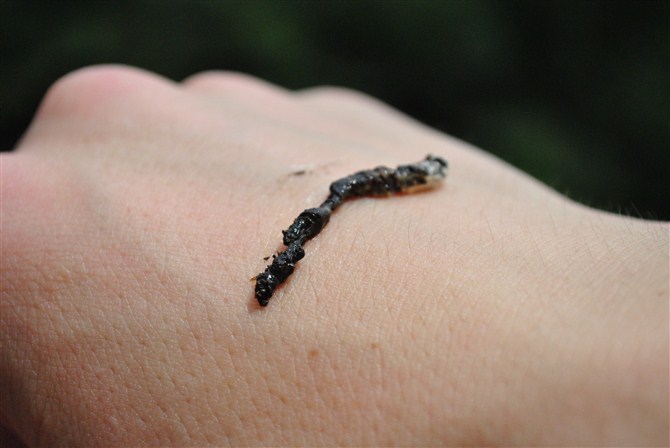 - - ����������HAPPY������������������������