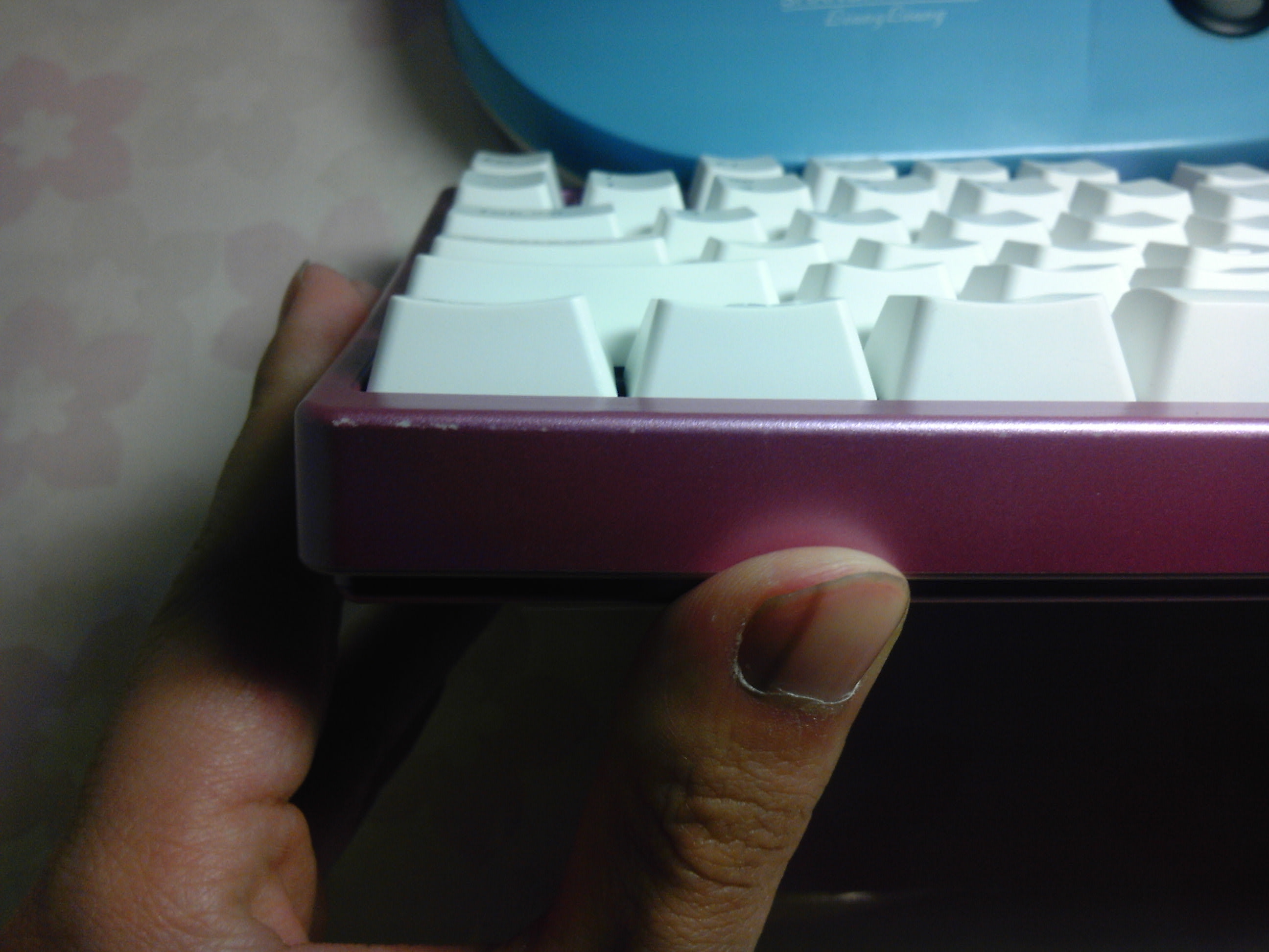 IMG_20120203_210406.jpg
