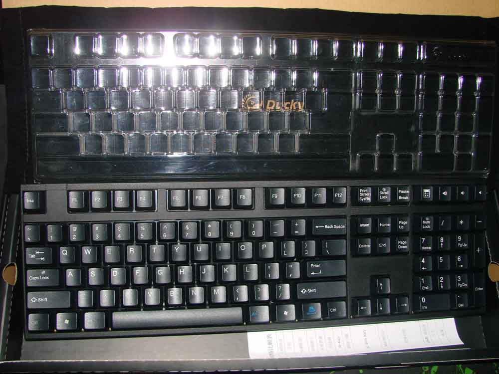 ֡ۡѼ1008 Filcoߺڲ TB