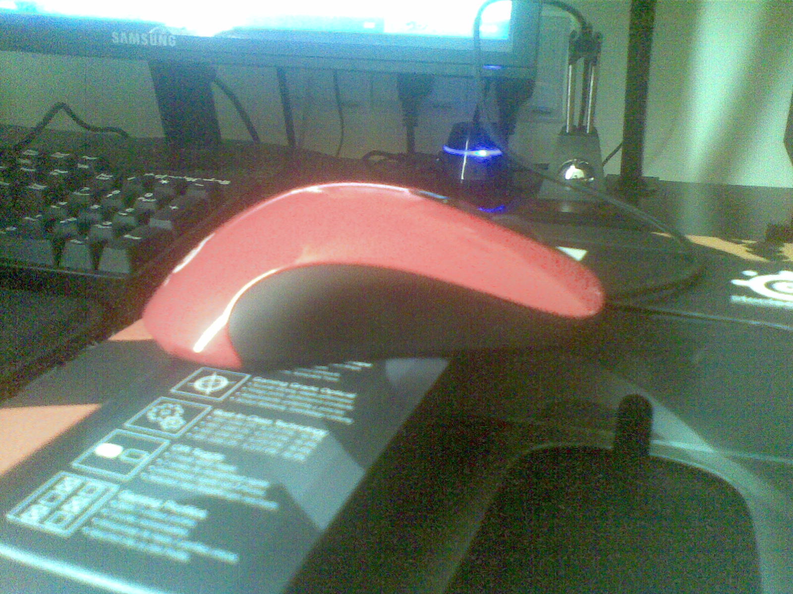20120207(003).jpg