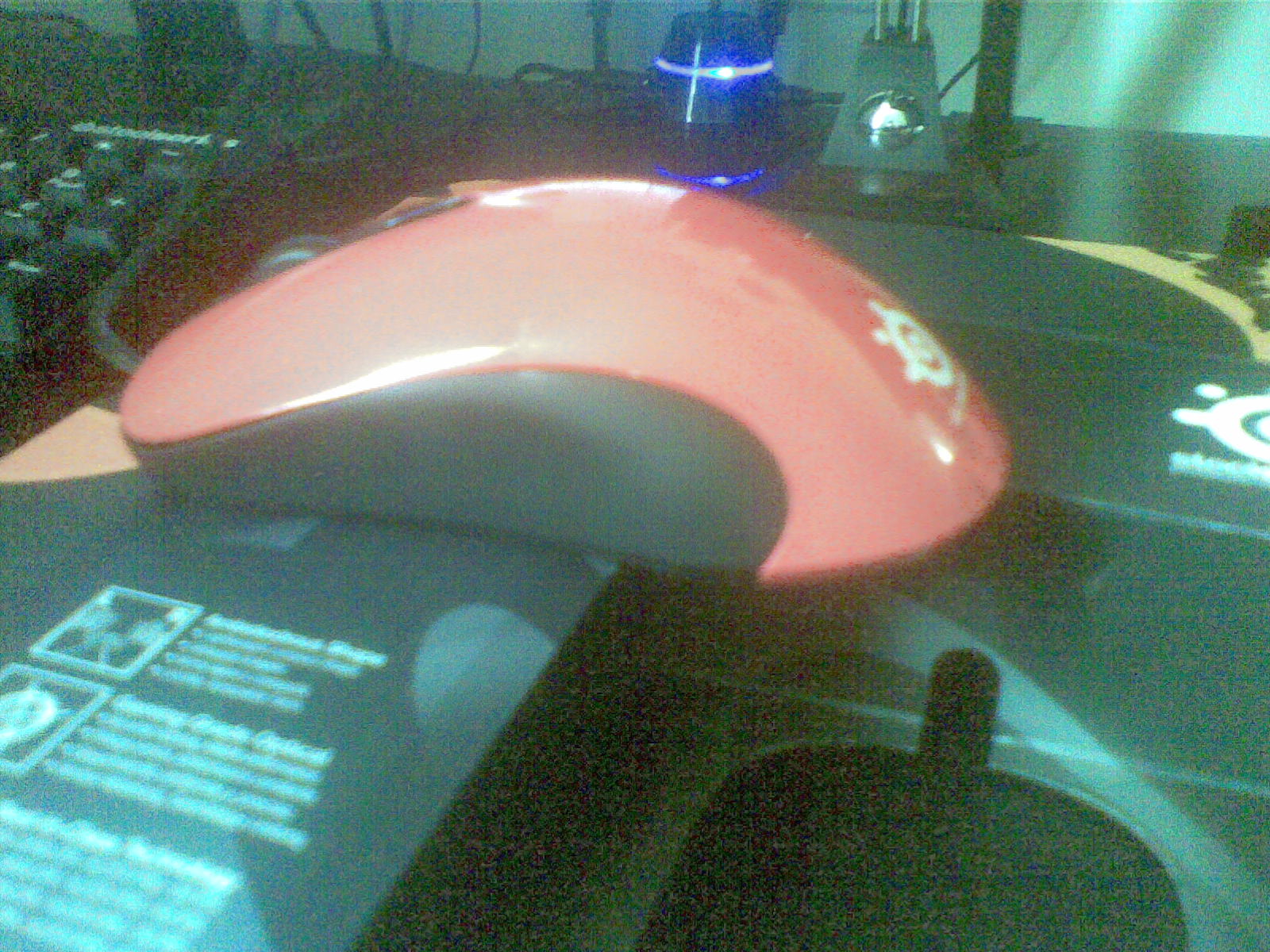 20120207(004).jpg