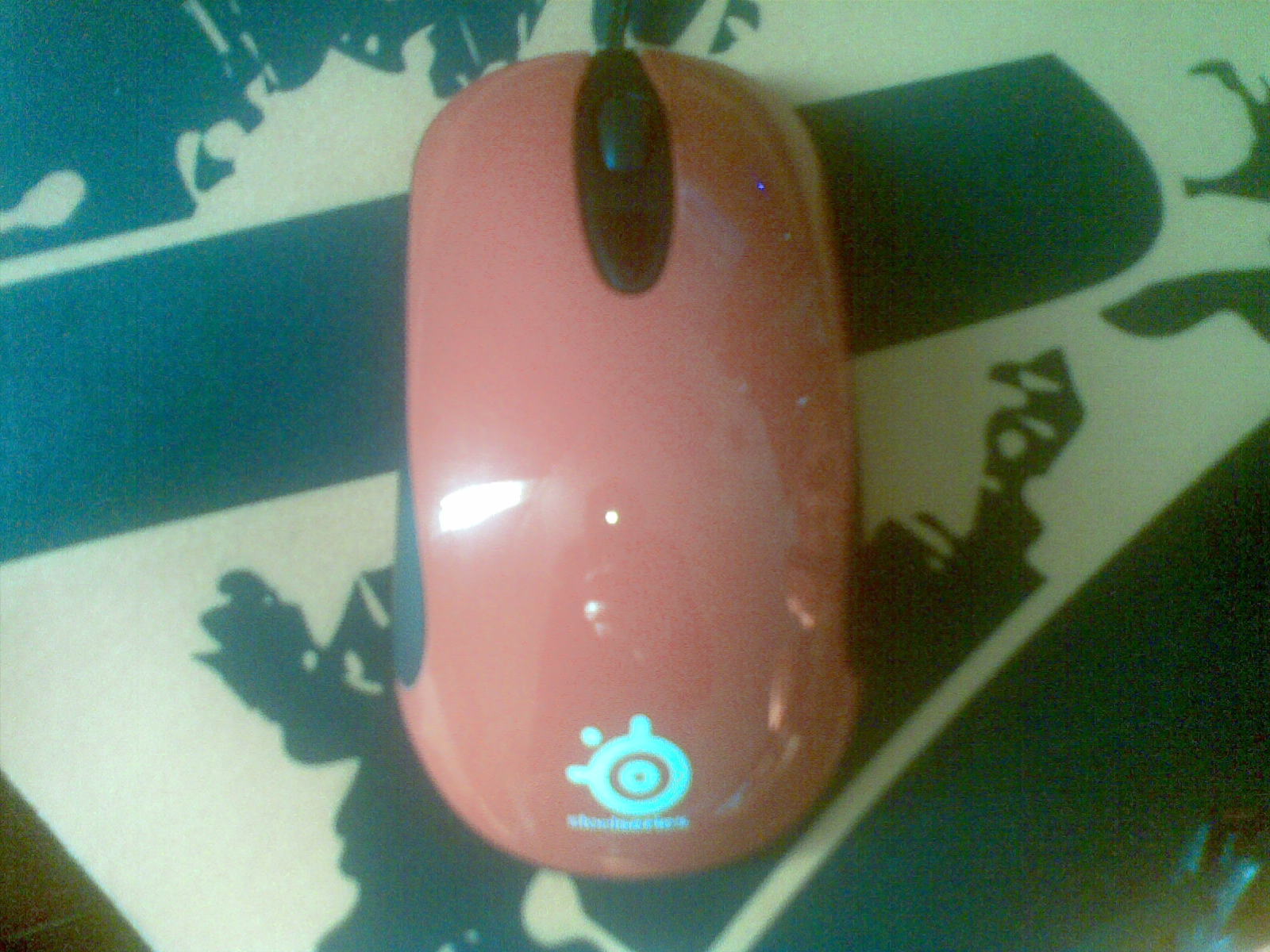 20120207.jpg