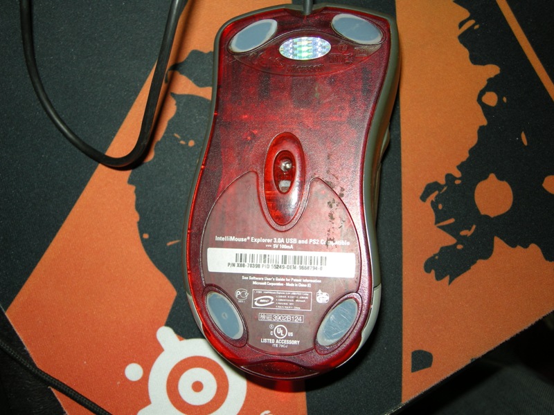 DSCN5551.JPG