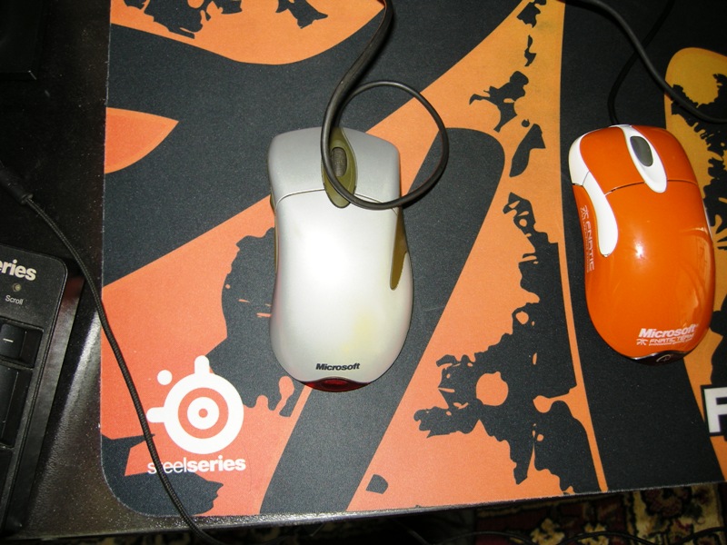 DSCN5548.JPG