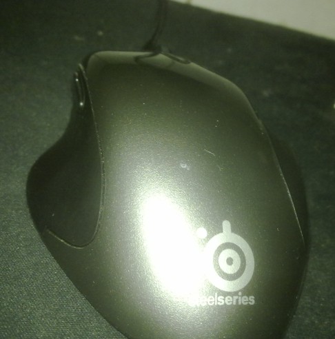 ��һֻ�����