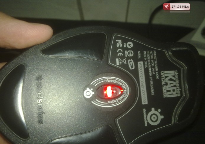 ��һֻ�����