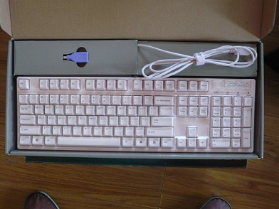 P1020860.jpg