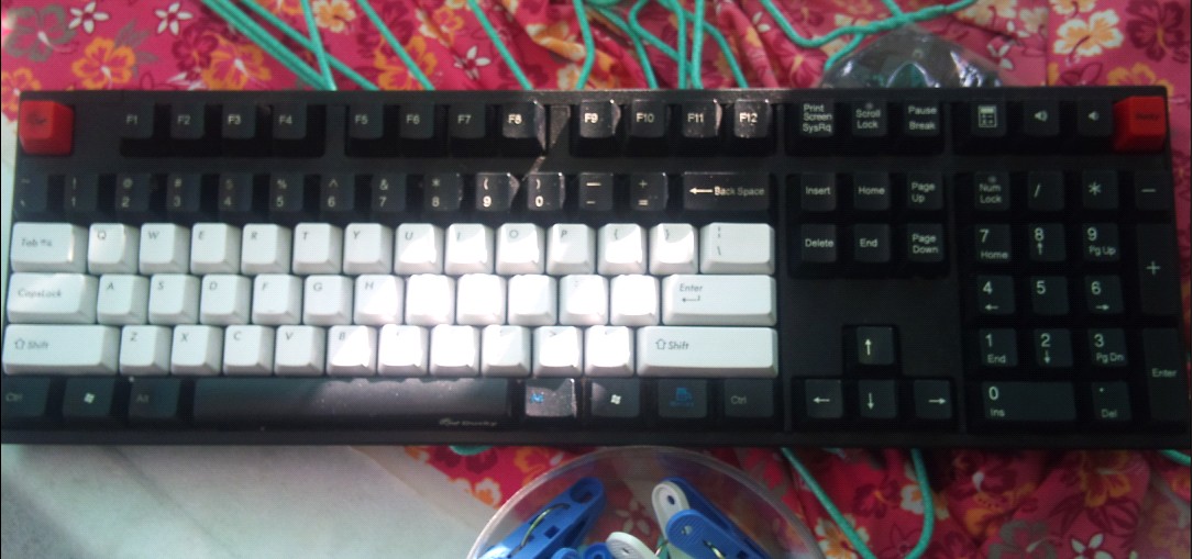 ��9������ducky1008������