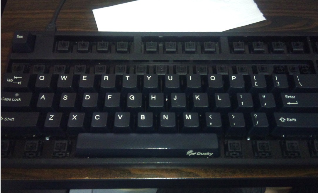 ��9������ducky1008������