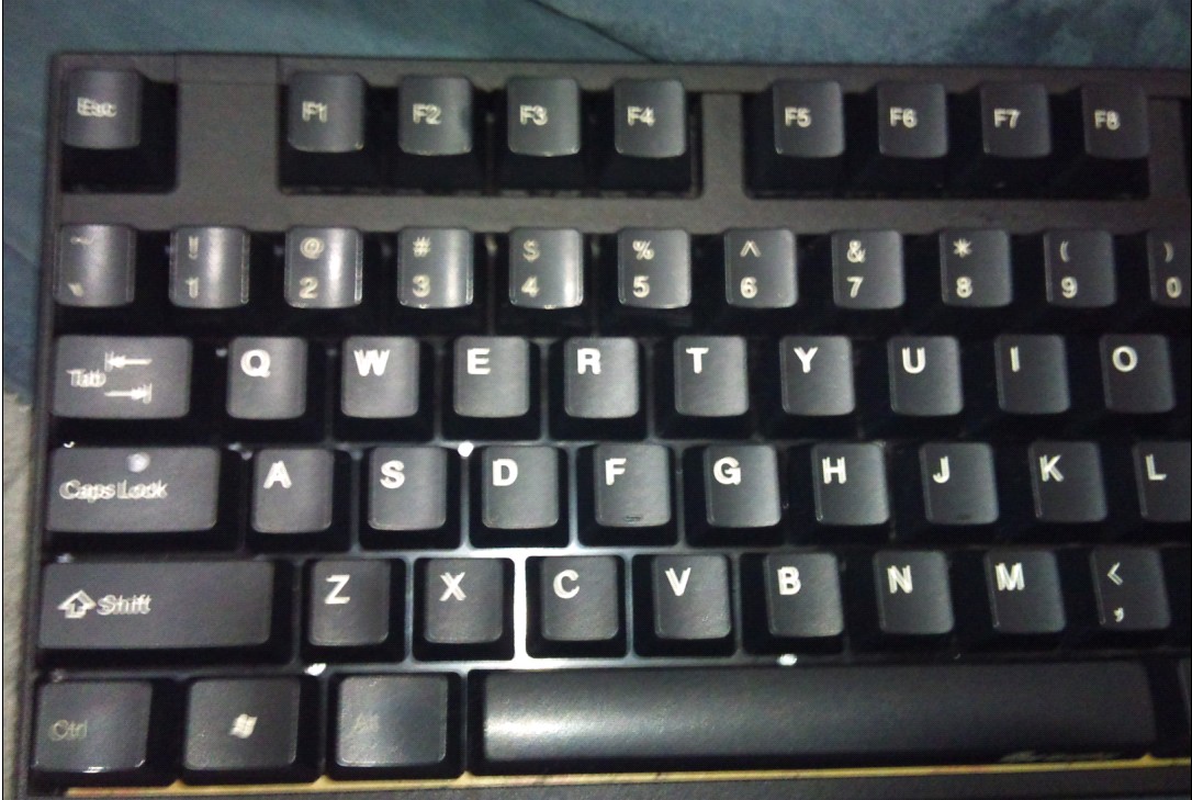 ��9������ducky1008������