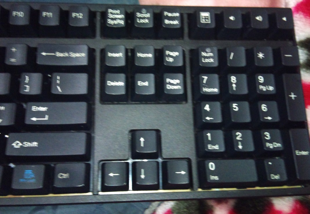 ��9������ducky1008������