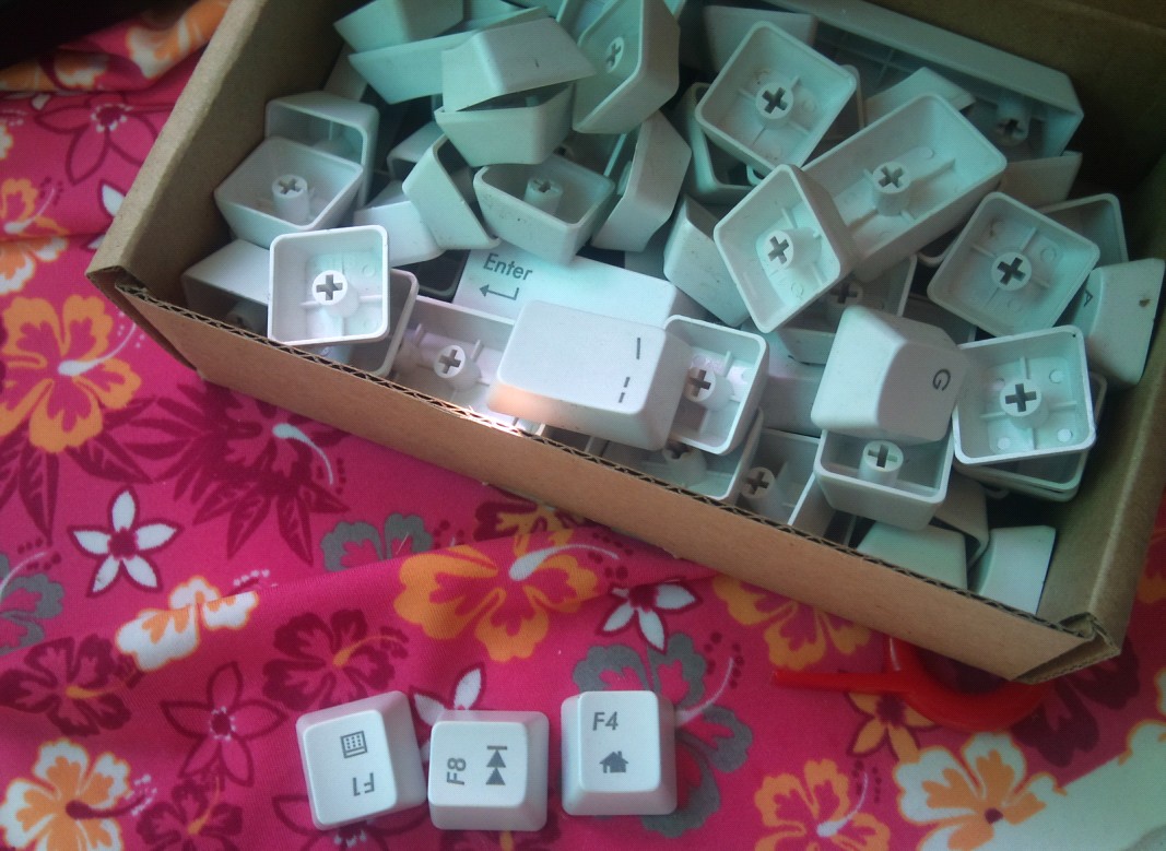 ��9������ducky1008������