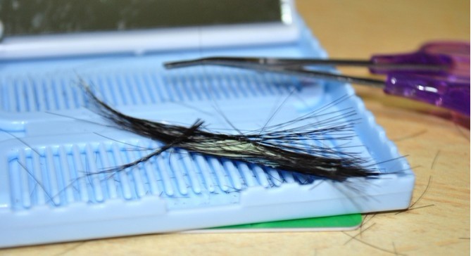 TAT  ������