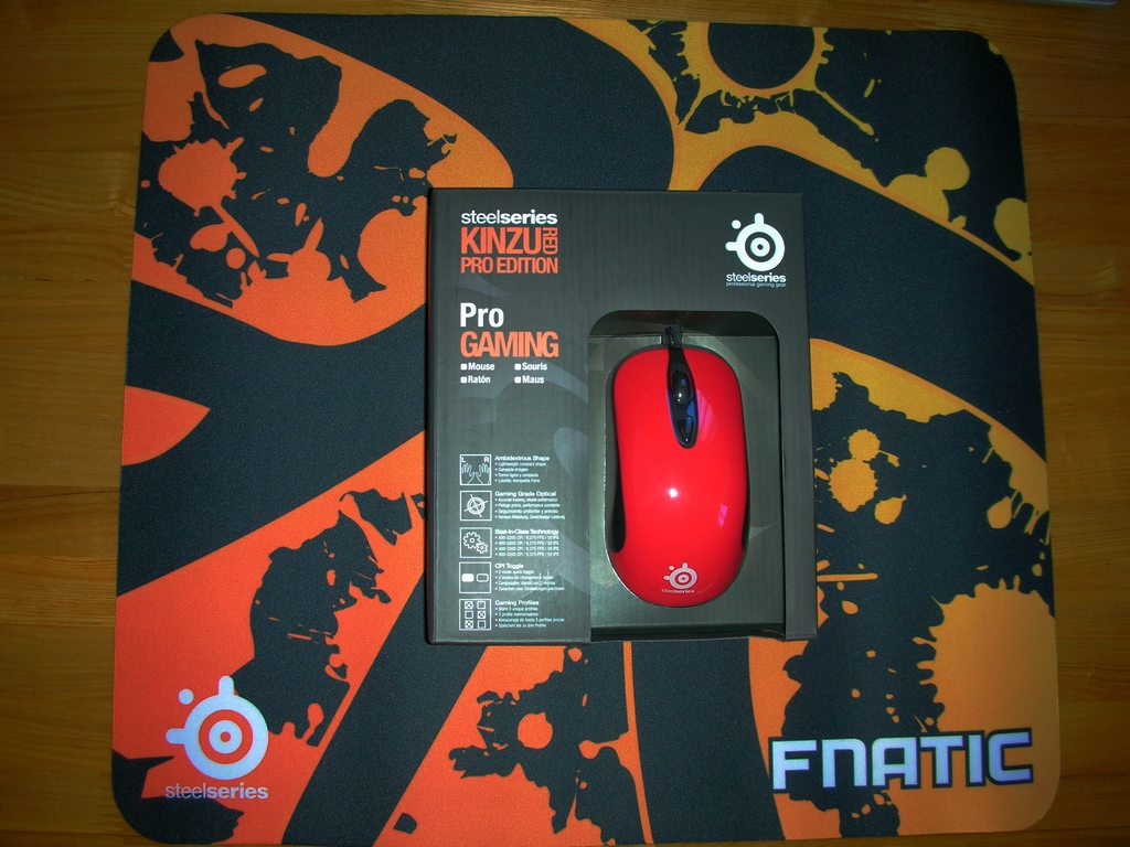 ��Kinzu QCK+fnatic