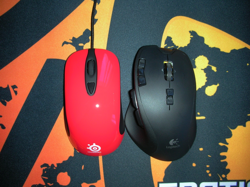 ��Kinzu QCK+fnatic