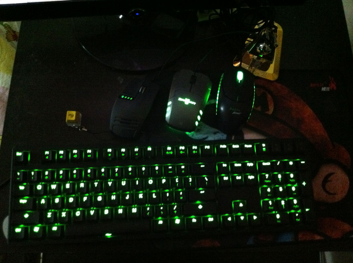(((ducky�̹�+�𻷸��̵�����YD��,�ϵ�ͼ~����)))