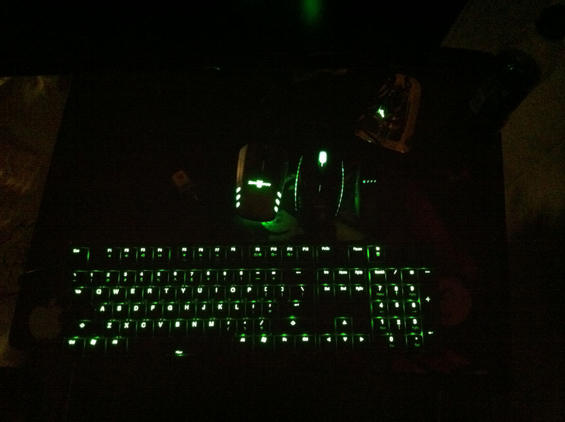 (((ducky�̹�+�𻷸��̵�����YD��,�ϵ�ͼ~����)))