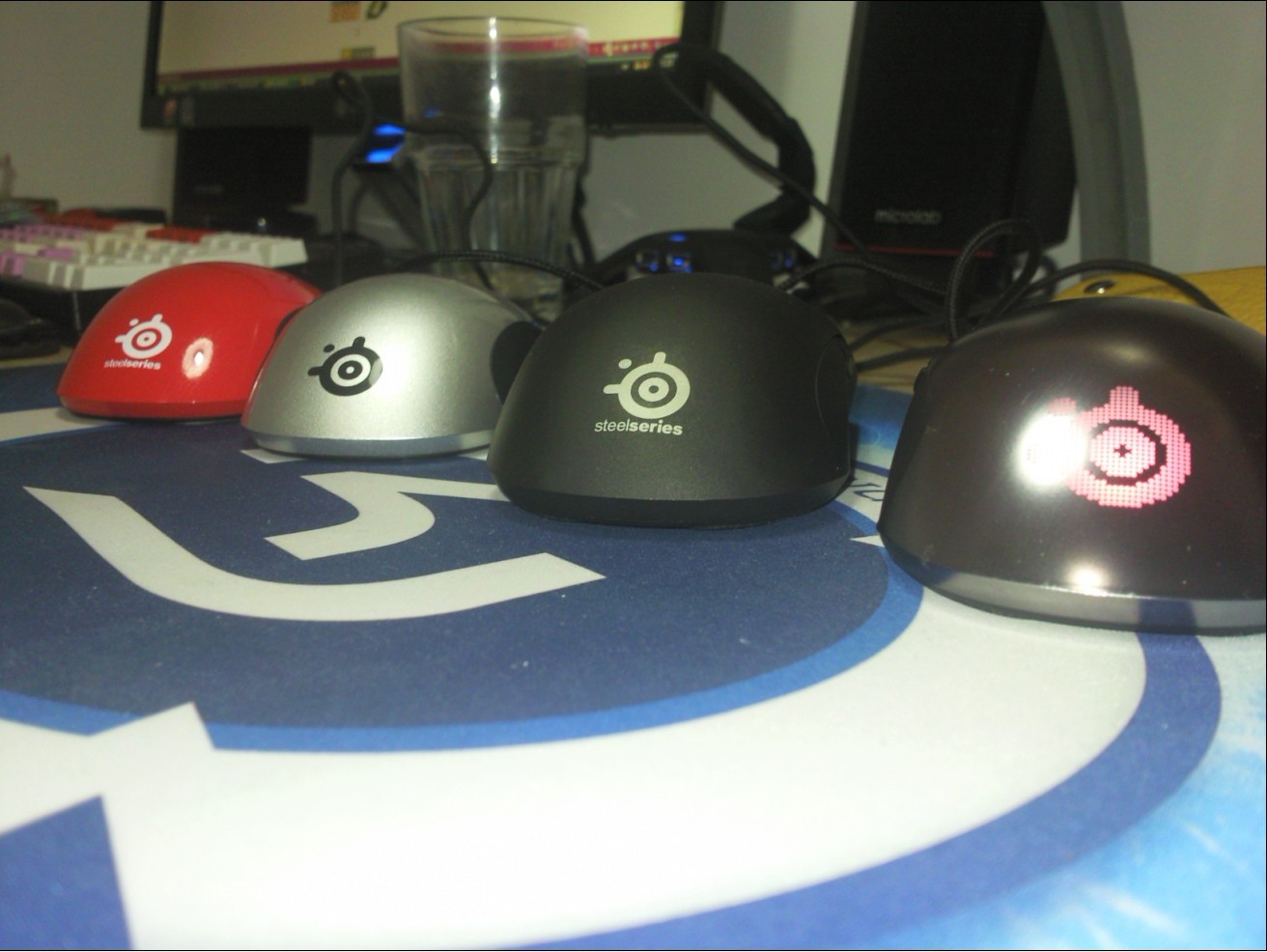 ����è��KINZU V2�����յ��� С��һ��