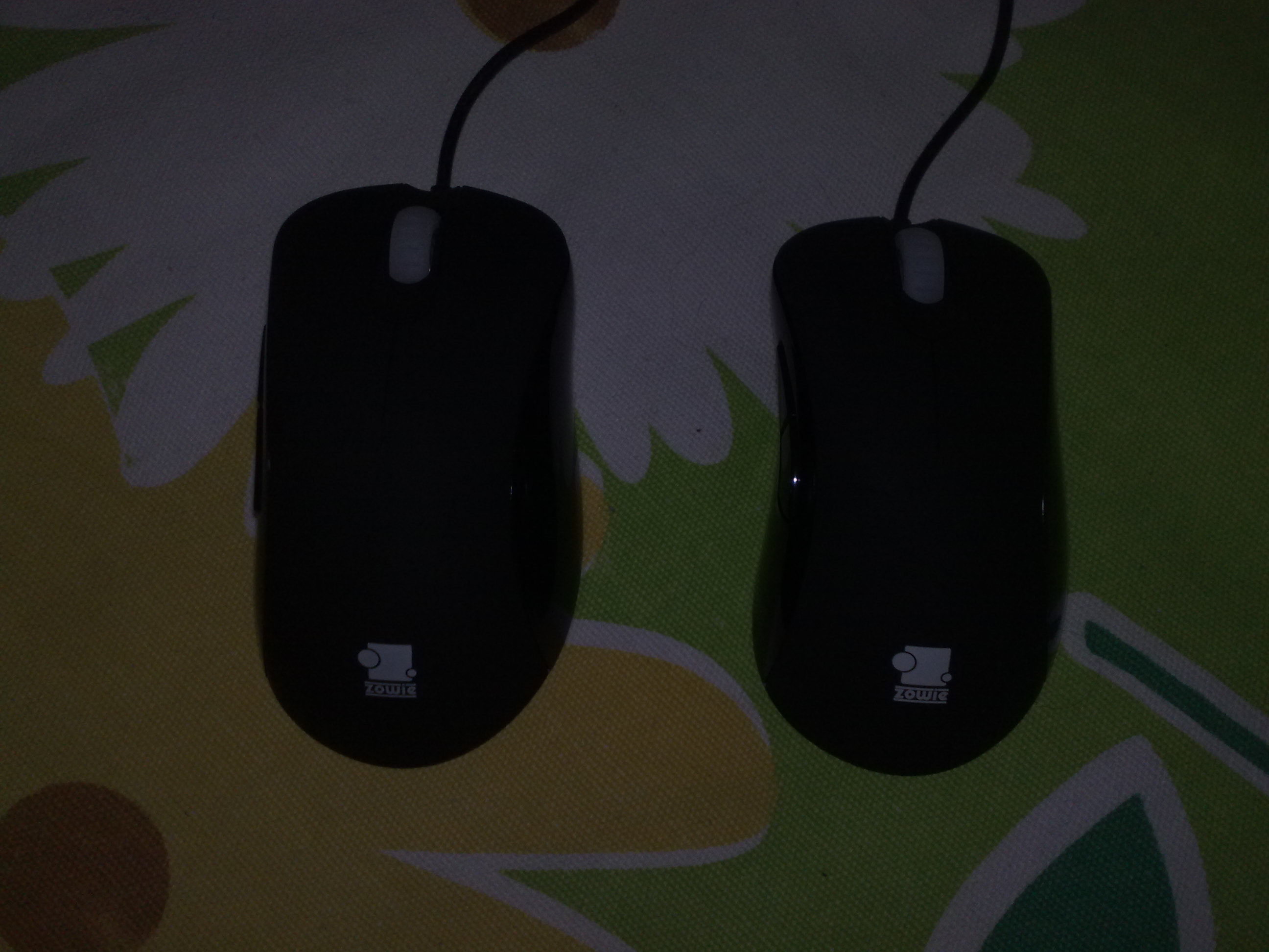 20120216313.jpg