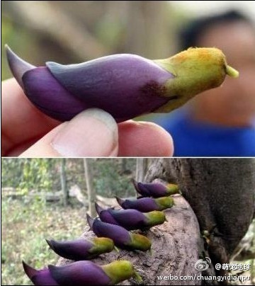 ����ֻ�񣬿ɱ����Ӹ����ˡ�����