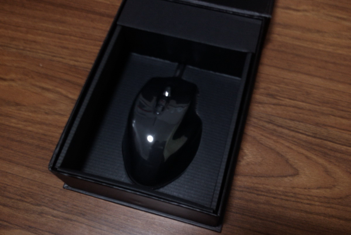 IMAG0839.jpg