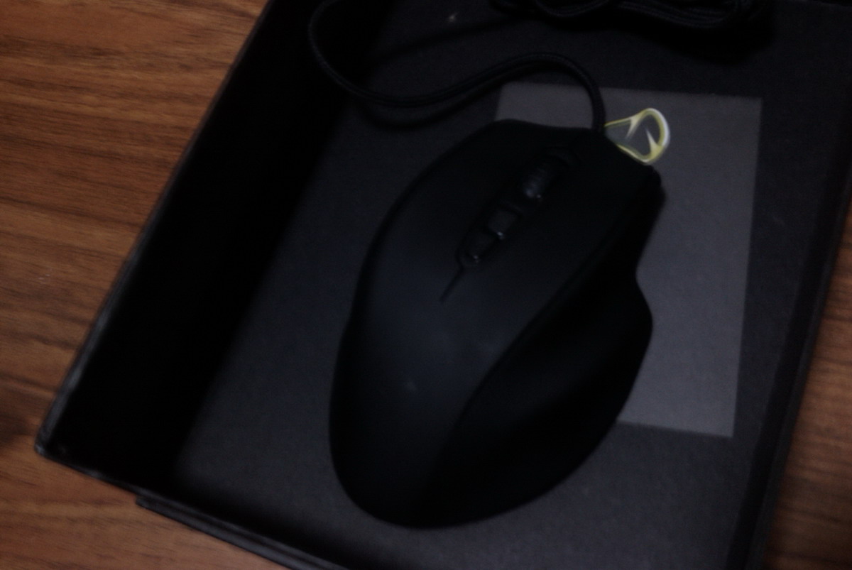 IMAG0840.jpg