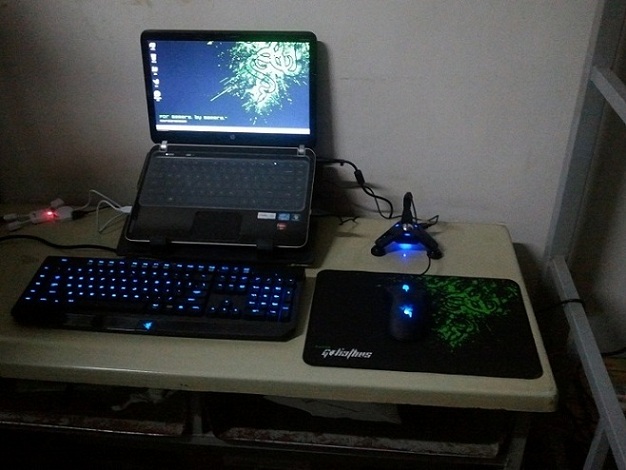 330.jpg